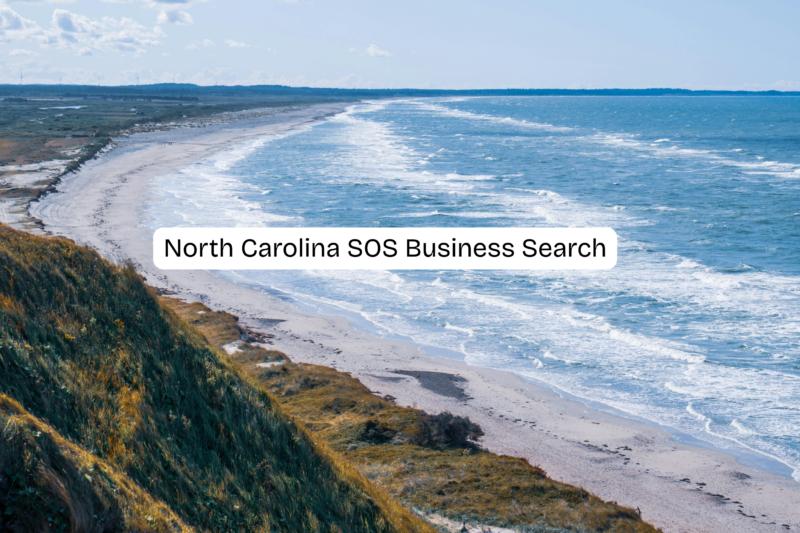 North Carolina SOS Business Search: Complete Guide to Company Lookup, LLC Search & Filings